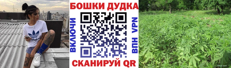 Где купить наркоту Саров Галлюциногенные грибы  ГАШ  Марихуана  Кокаин 