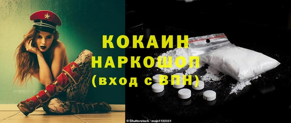 гашик Алексин