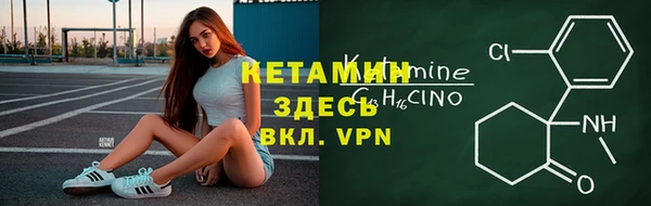 гашик Алексин