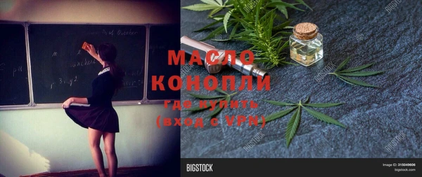 гашик Алексин