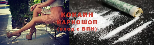 гашик Алексин