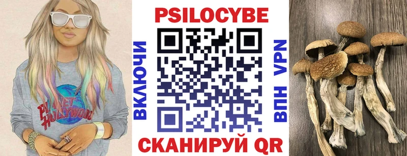 купить наркотик  blacksprut рабочий сайт  Псилоцибиновые грибы Psilocybine cubensis  Саров 