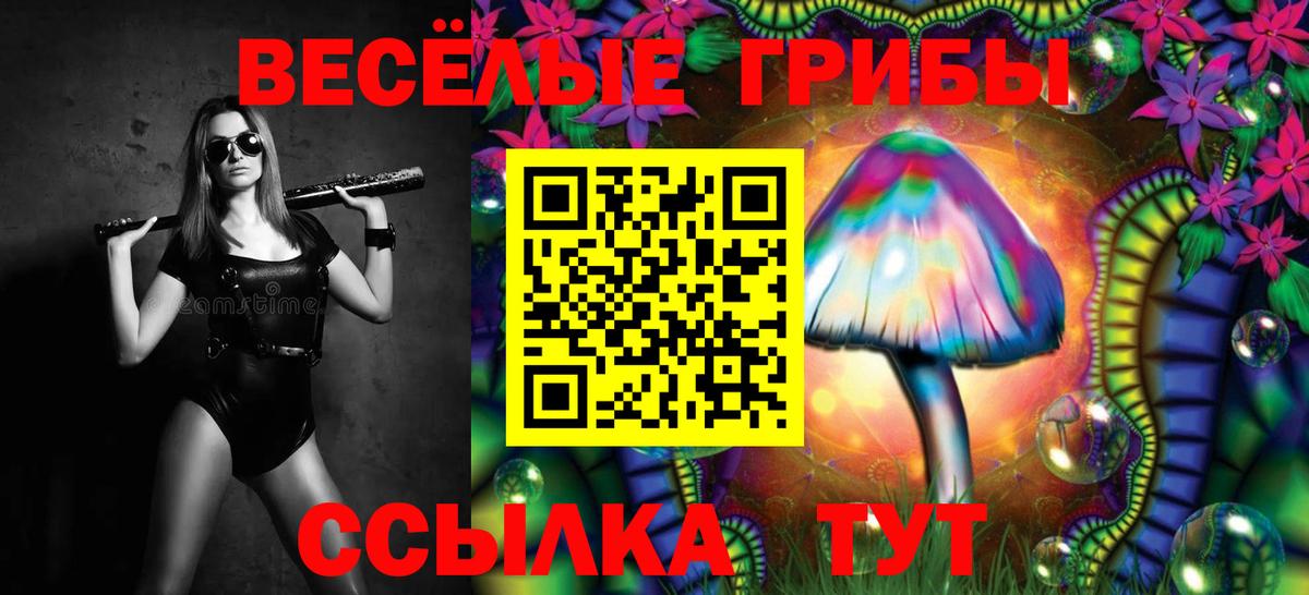 Псилоцибиновые грибы Magic Shrooms Саров