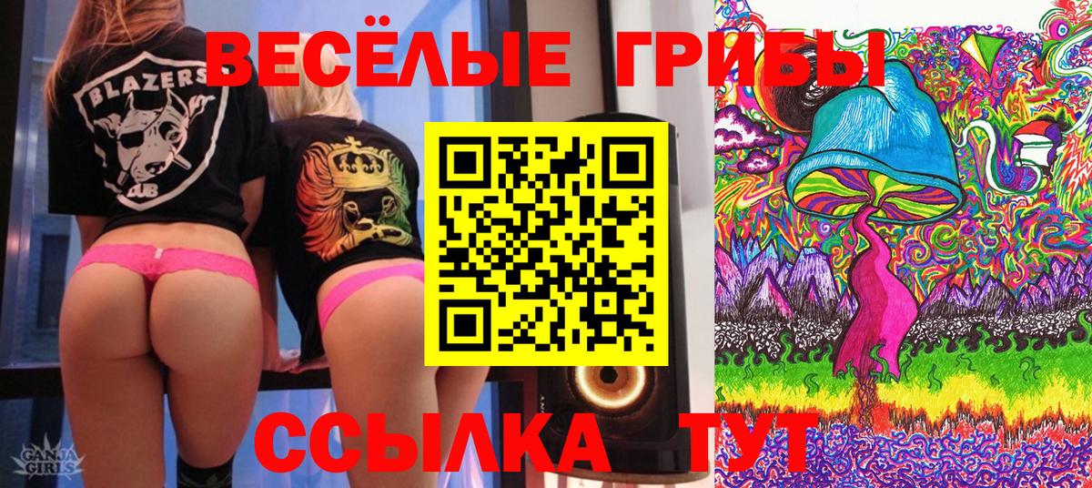 Галлюциногенные грибы ЛСД  Вход с VPN  где можно купить наркотик  Саров 